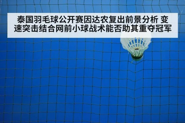 badminton net play