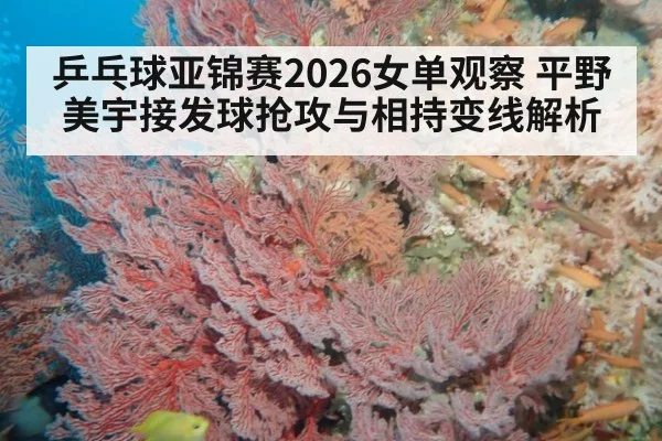 乒乓球亚锦赛2026女单观察 平野美宇接发球抢攻与相持变线解析