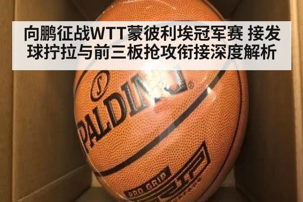向鹏征战WTT蒙彼利埃冠军赛 接发球拧拉与前三板抢攻衔接深度解析